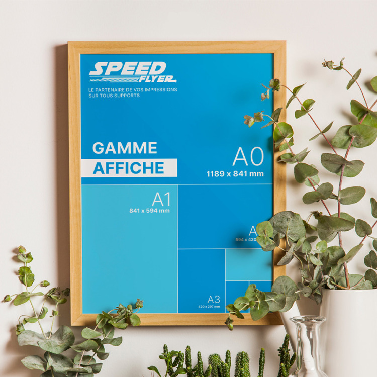 Affiches A2-A3 (1-99 ex.)